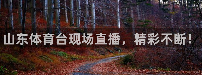 山东体育台现场直播，精彩不断！