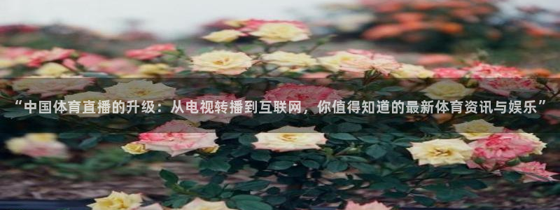“中国体育直播的升级：从电视转播到互联网，你值得知道的最新体育资讯与娱乐”