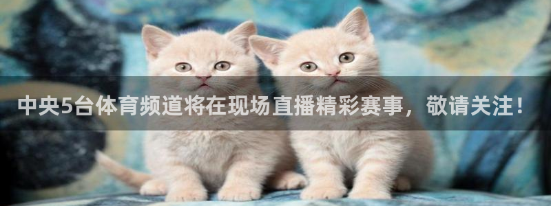 中央5台体育频道将在现场直播精彩赛事，敬请关注！
