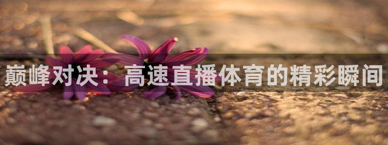 巅峰对决：高速直播体育的精彩瞬间