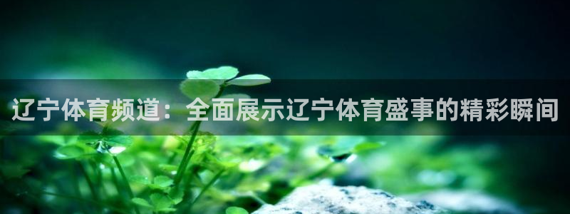 辽宁体育频道：全面展示辽宁体育盛事的精彩瞬间