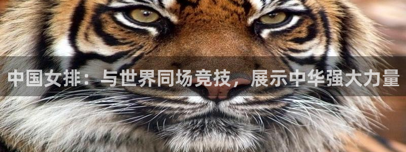 中国女排：与世界同场竞技，展示中华强大力量