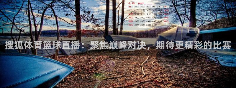 搜狐体育篮球直播：聚焦巅峰对决，期待更精彩的比赛